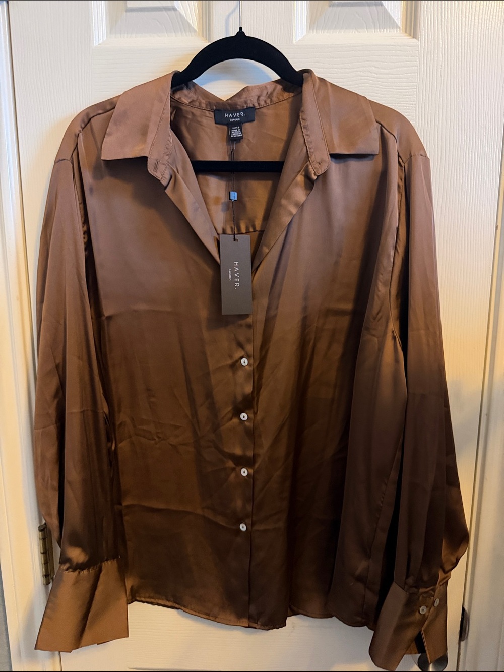 Haven Satin Button-Down Shirt in Brown